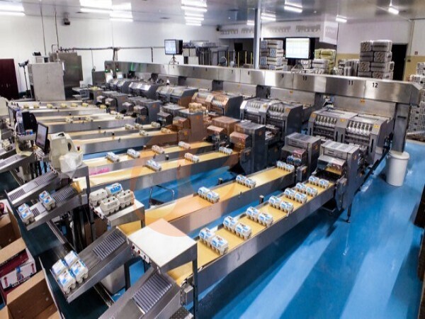 Automatic terminal egg collecting, sorting and packing for poultry cage, realize efficient processing and intelligent management of poultry eggs