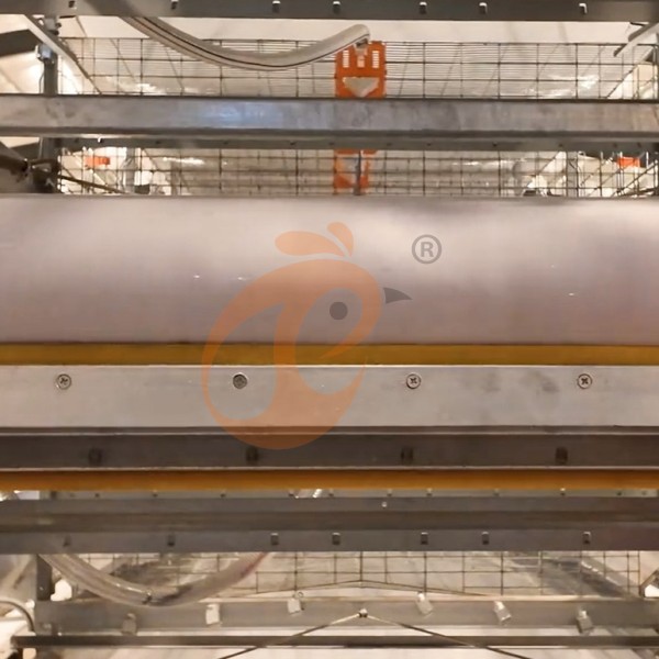 poultry farm manure equipment  (1)