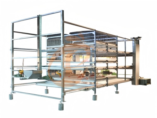 broiler battery cage (1)