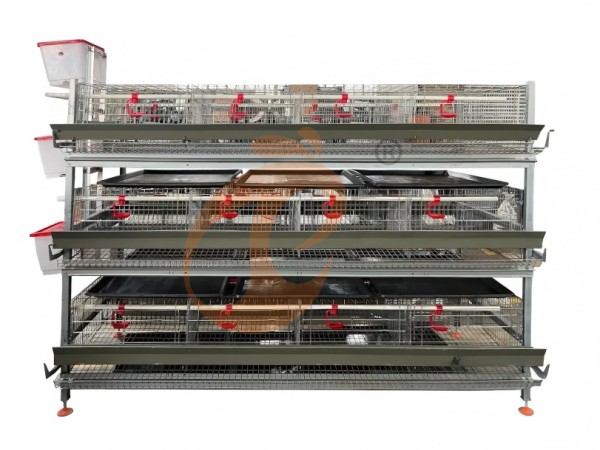 brooder pullet battery cage (27)