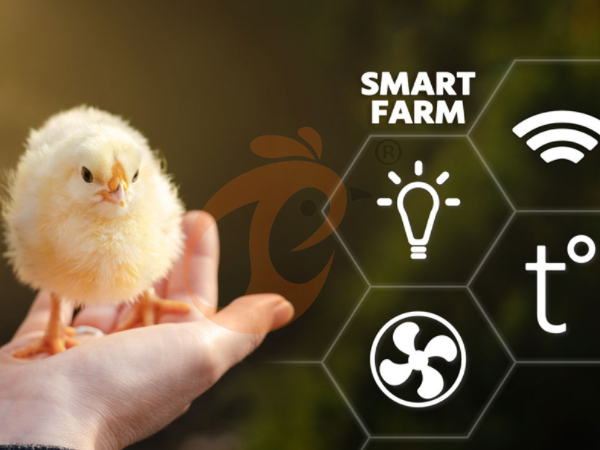IoT Smart Poultry Farm