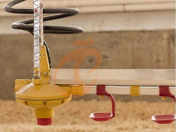 deep litter system (30)