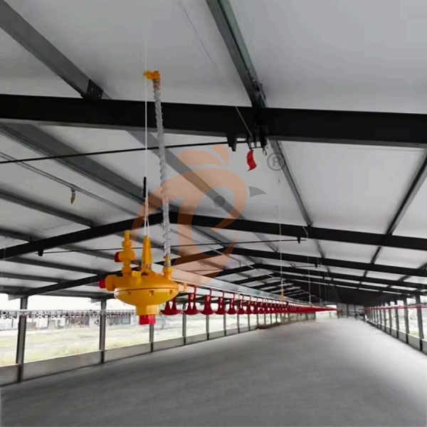 deep litter system 1 (2)