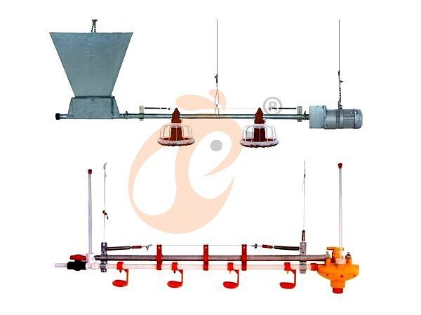 deep litter system (12)