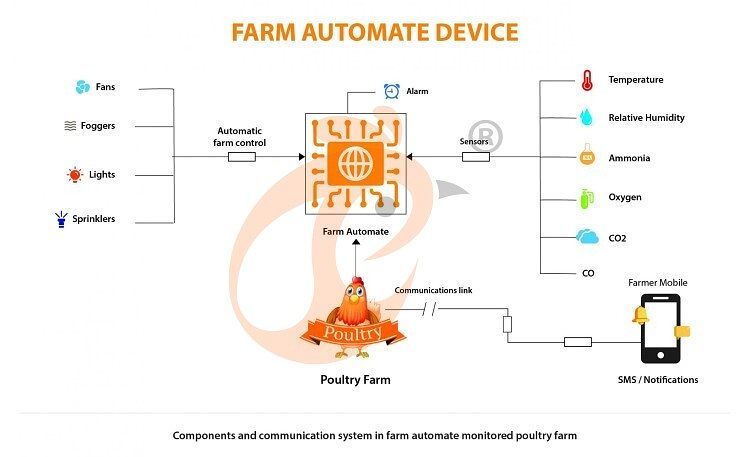 deep litter system (13)