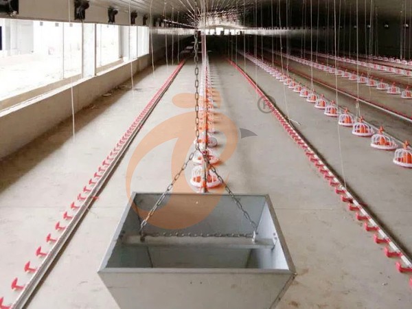 deep litter system (9)