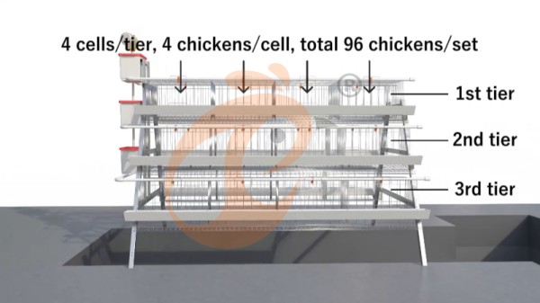 A Type layer battery cage system (2) 100 - 10,000 Layers Manure A Type Battery Cage