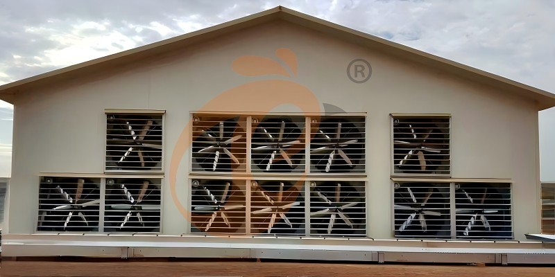 poultry house ventilation  (3)
