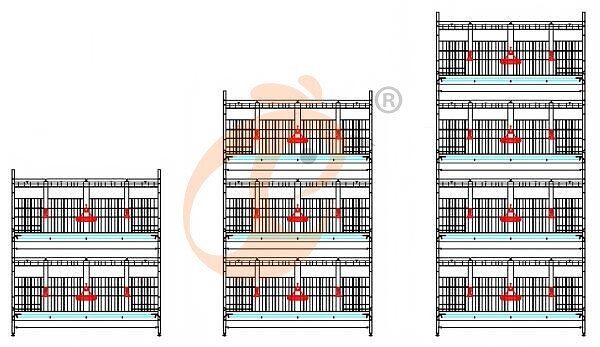 broiler battery cage (15)