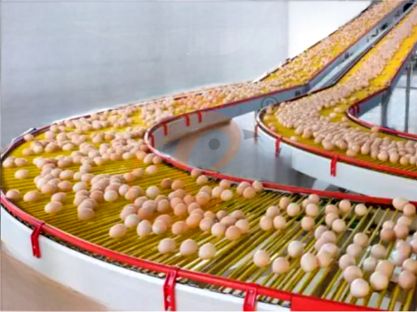 What Documents Are Needed For Ethiopian Poultry Cage Quotation? 4 Essential Details