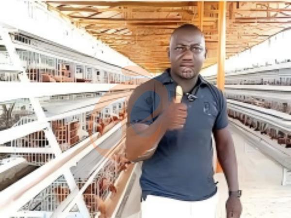 A-Type Chicken Cage For Layers Vs Broilers In Ethiopia: Which System Is More Suitable?