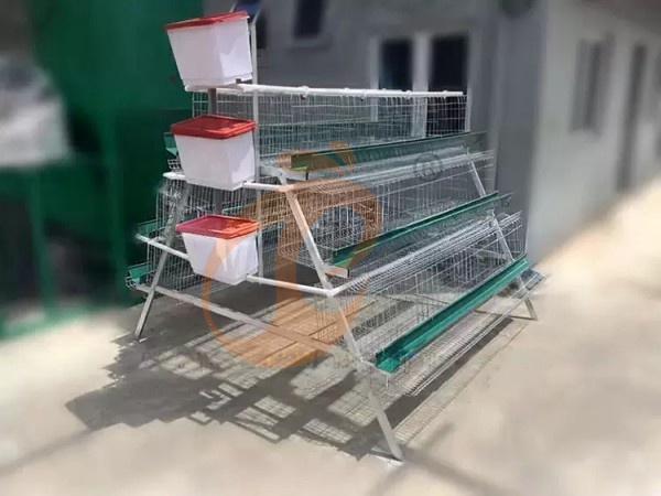 A H layer chicken battery cage price in poultry farm (96)