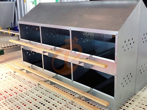 Floor Rearing Poultry System Price | 5 Key Cost Factors Explained