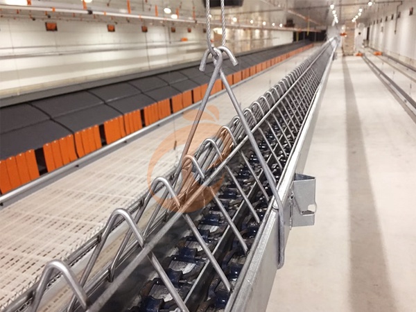 Automatic Poultry Feeding System Buying Guide: Price, Cost Saving & User Hot Searches