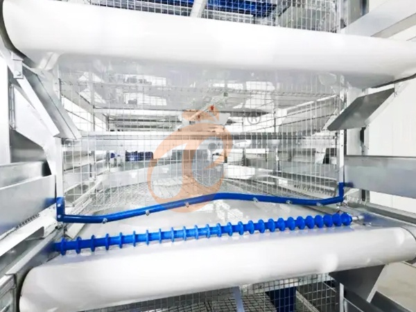 Chicken Coop Cleaning Equipment Price Check: Top Type & Cost Analysis