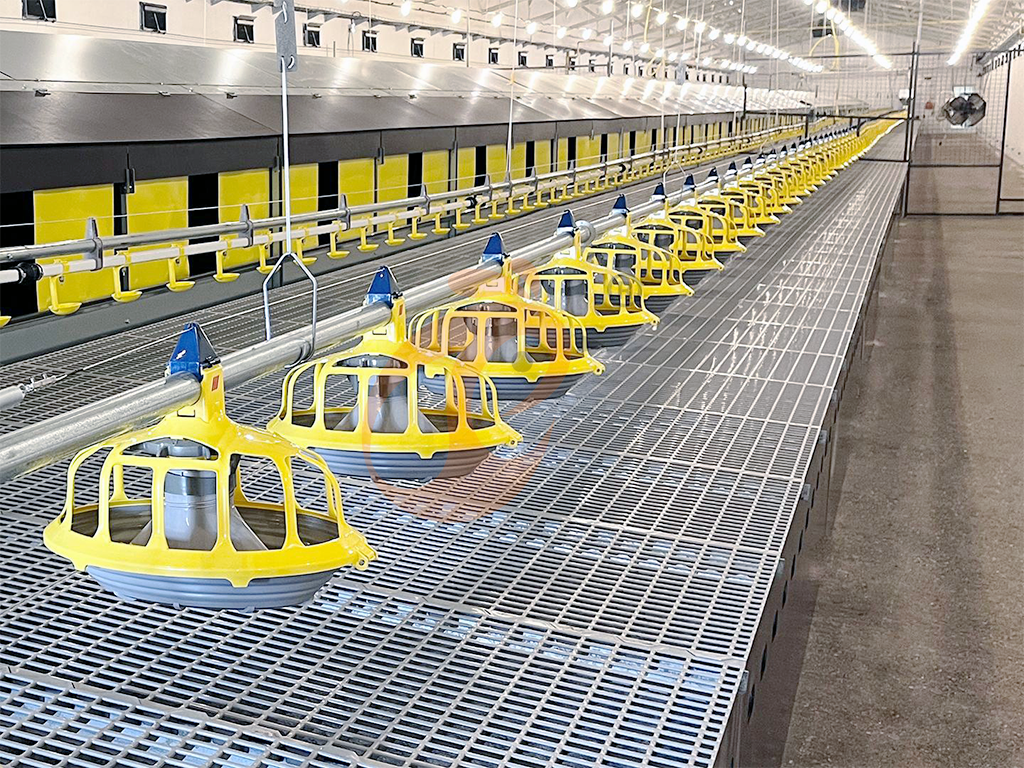 Floor Rearing Poultry System2 (2)