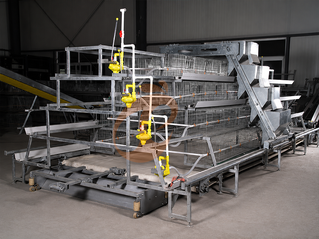 How To Upgrade Poultry Equipment Systems | 6 Practical Methods