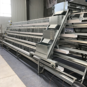 Discounted price battery cage chicken poultry farming for laying hens