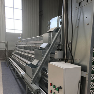 Deluxe imported A type broiler cage for sale in Nigeria market