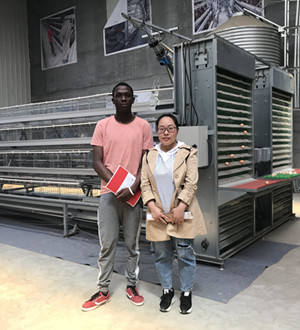 Most competitive cost of layers cage in Nigeria from N 80000 to N 170000