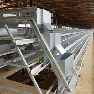 Latest cost of poultry cages in Nigeria