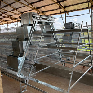 Poultry battery cage price in Lagos warehouse Nigeria and how to choose chicks