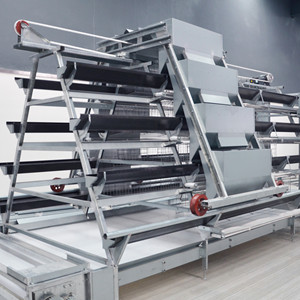 A type 3 tier galvanized 120 capacity layer battery cage for African chicken farm