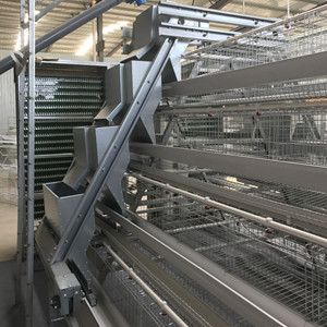 China 25 years lifespan chicken cage for sale in Nigeria