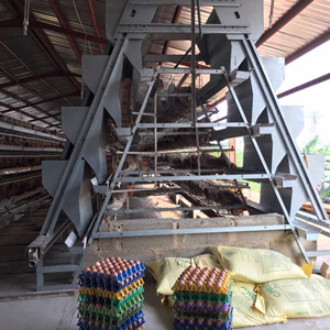 Cost of poultry cages and equipment in Nigeria