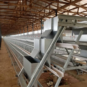 120 128 and 160 birds chicken layer cage for sale in Zambia Ghana Uganda Tanzania