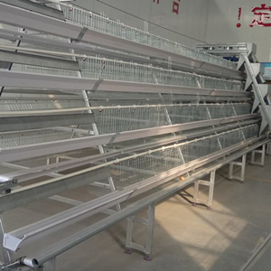 Nigeria office pullet cage brooder battery cage system for sale