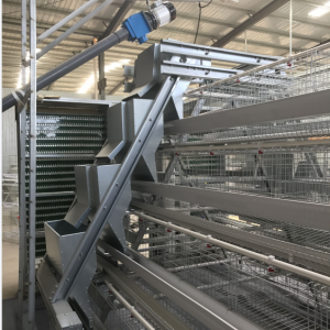 Layer battery cage price poultry farm in Nigeria