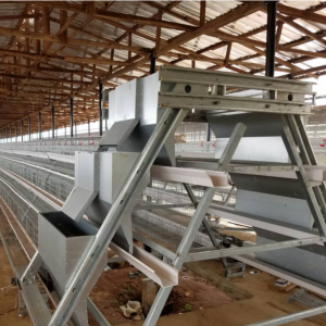 Design egg layer battery cage system price in Ghana
