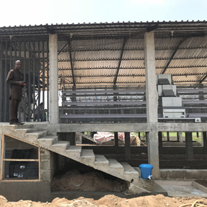 How to start a fully automatic chicken farm for 30,000 layers