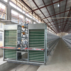 The advantages and precautions of automatic battery cage design for poultry layer farm