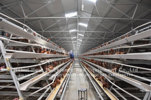 45241105_2222663297993057_6151977851890434048_o_副本