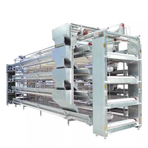 Poultry farm automatic H frame galvanized layer egg chicken battery cage poultry equipment
