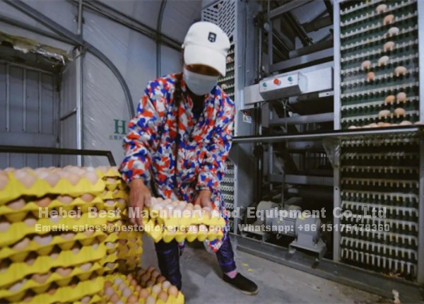 PJ($169_F2_Z83_%((]6RQ6_副本.png