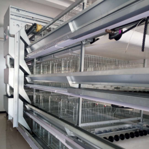 Best price good quality automatic poultry layers chicken cages for Africa cages