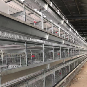 Supply completely automatic battery chicken layer cage system poultry farming equipment