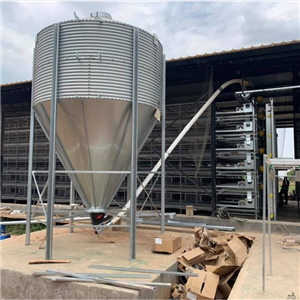 90,000 layers farm with 4 tiers H type automatic chicken cage