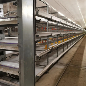 H type automatic broiler cage system for 10,000 to 1,000,000 chicken project