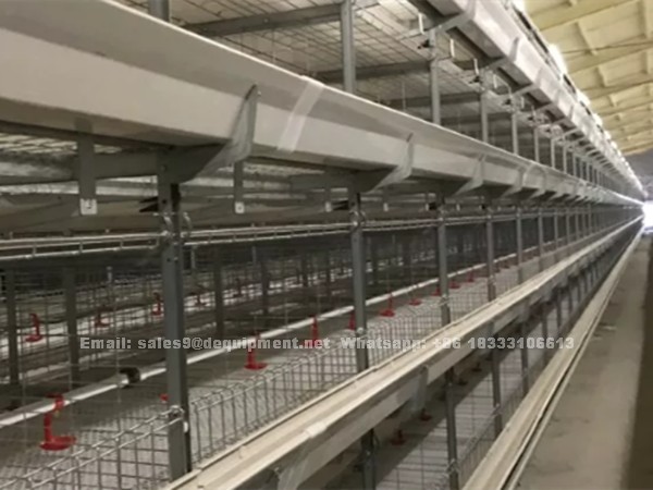 What problems should we pay attention to when starting with a A or H type fully automatic Laying chicken cage