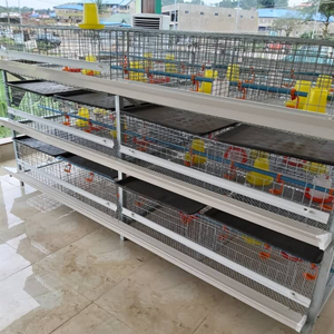 Broiler cage and poultry rearing equipment for day old chicks