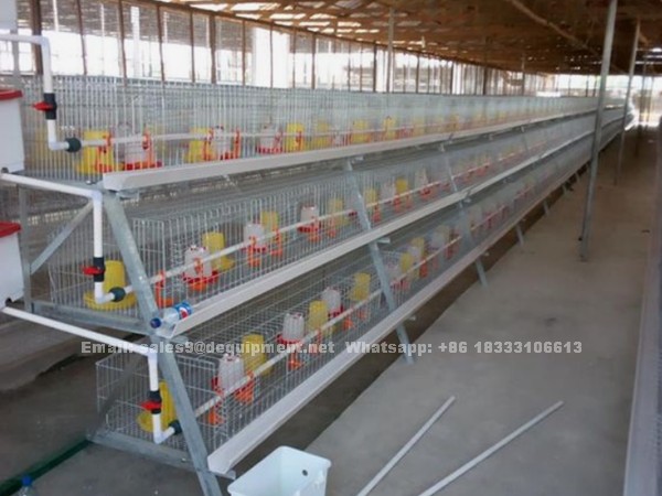 A or H type broiler battery cage for 5,000-10,000 birds in Uganda market