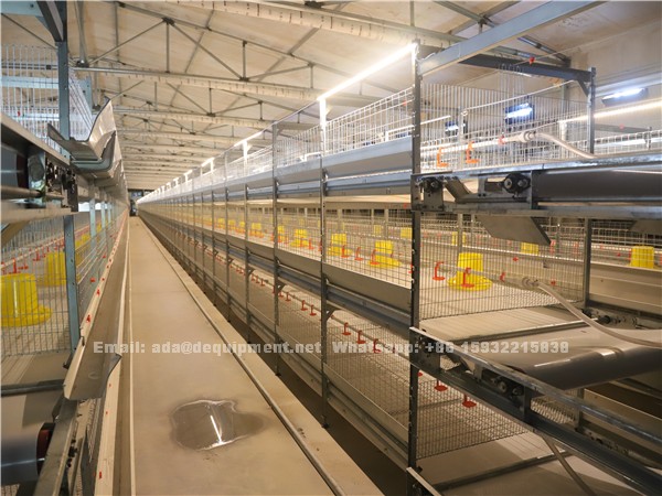 3 tiers and 4 tiers H type 20,000 broilers poultry farm design and house construction