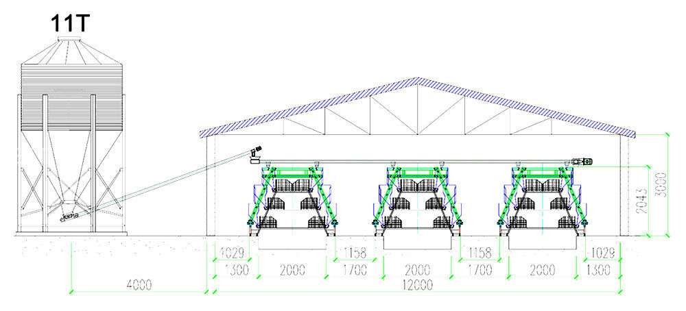 25,272 pullets A3 automatic pullet chicken cage's 
