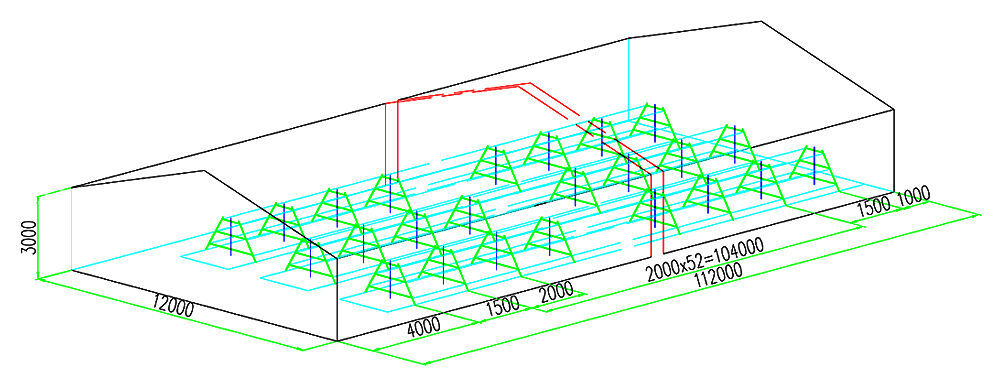 25,272 pullets A3 automatic pullet chicken cage's 
