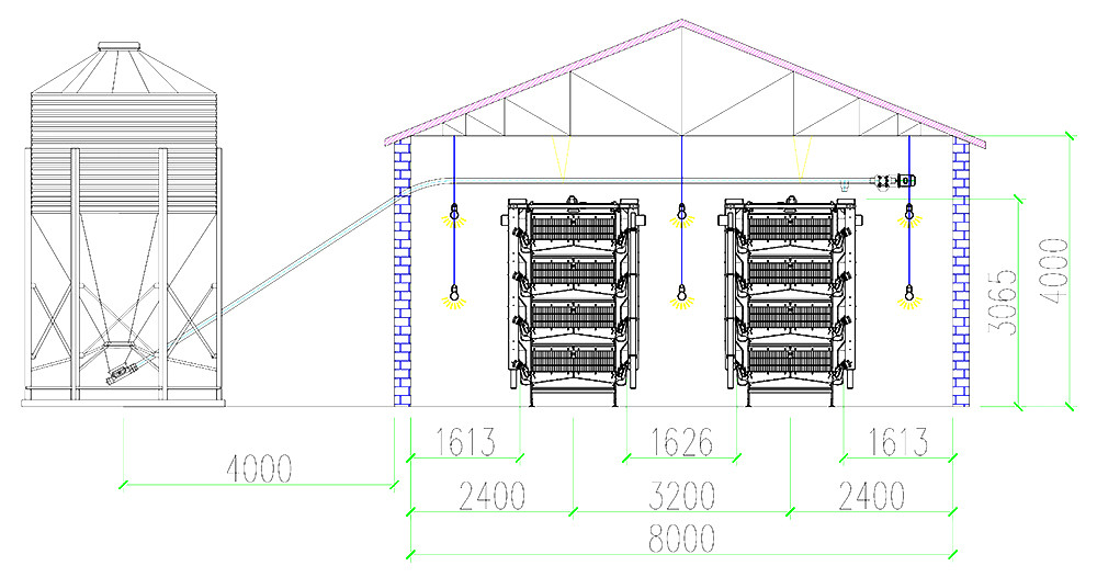 26,000 layers H5 automatic layer chicken cage's ho