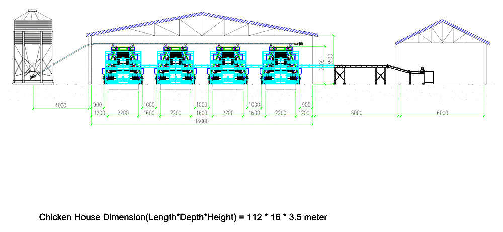 30,080 layers A4 automatic layer chicken cage's ho